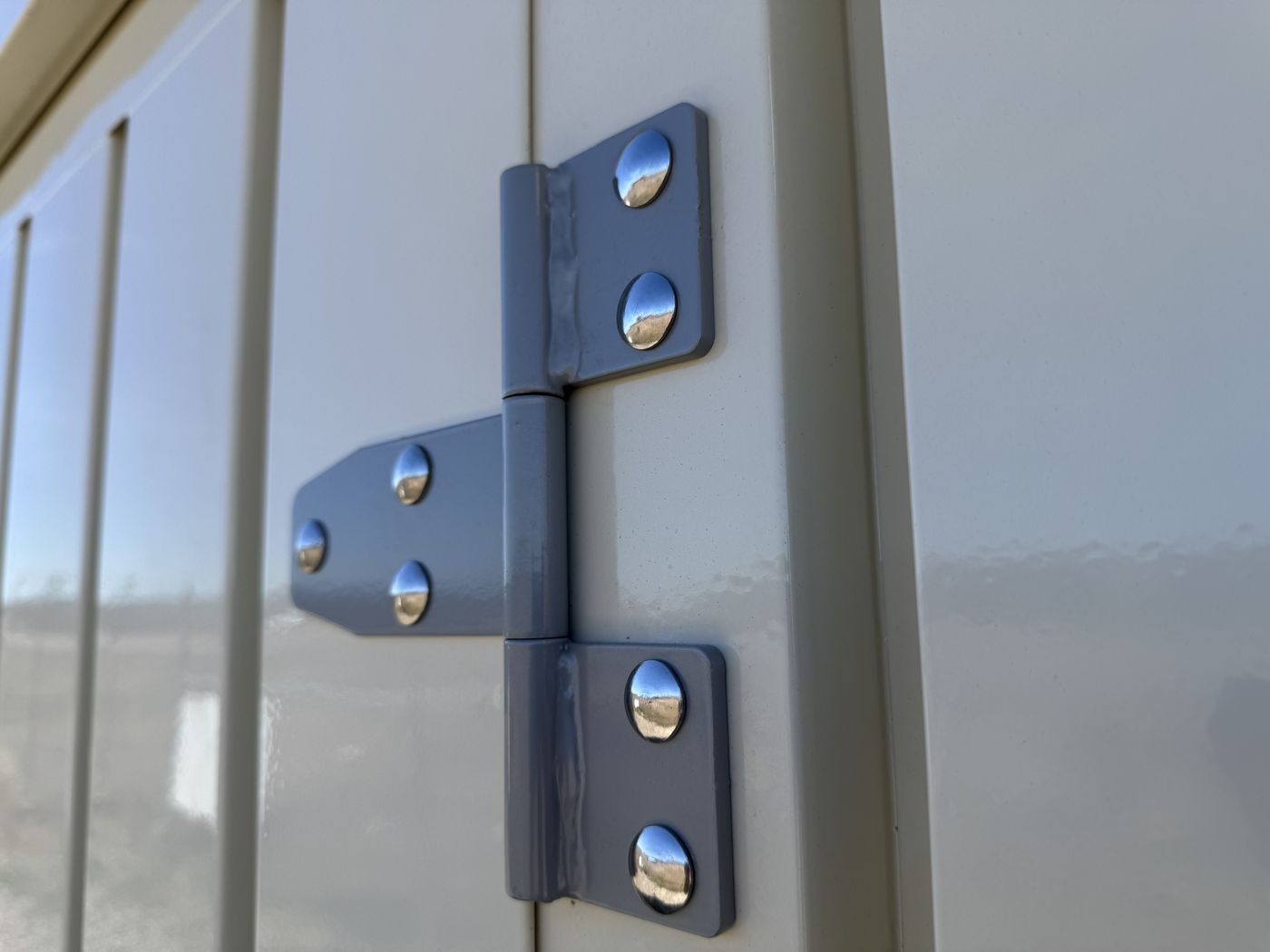Heavy T-hinges bolted through the steel.